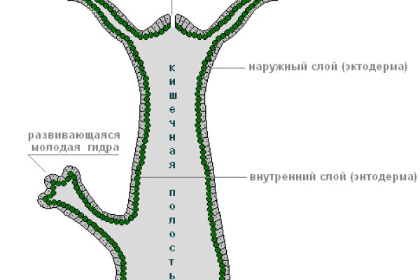 Кракен пользователь не найден что