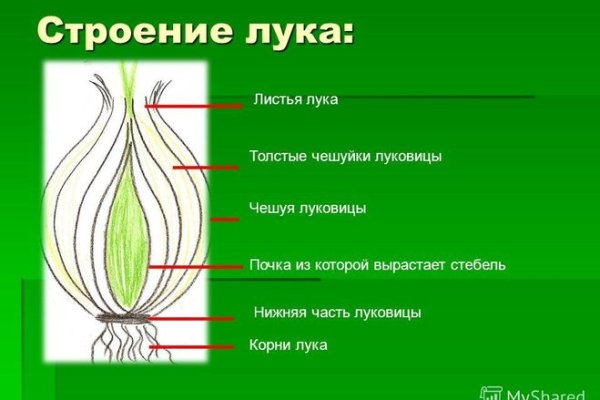 Vk8 at кракен